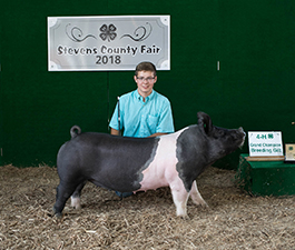 Top Cut Gentics Winners