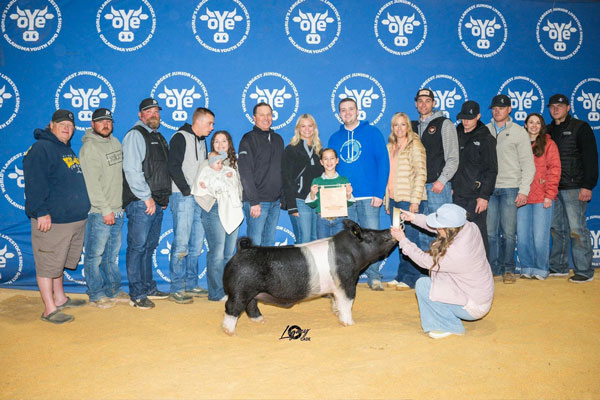 Littermate to Pile Driver